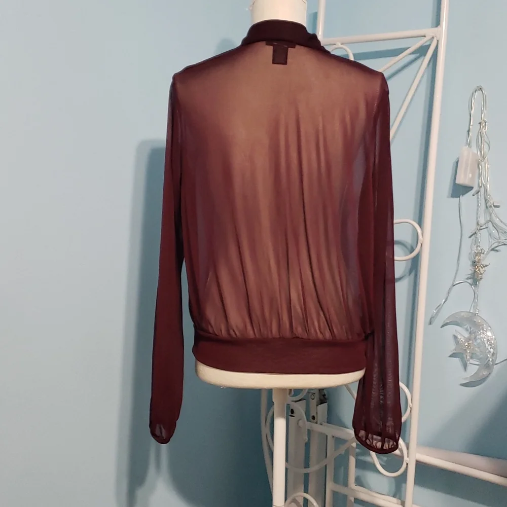 Express Sheer Deep-V Top - Picture 5 of 7